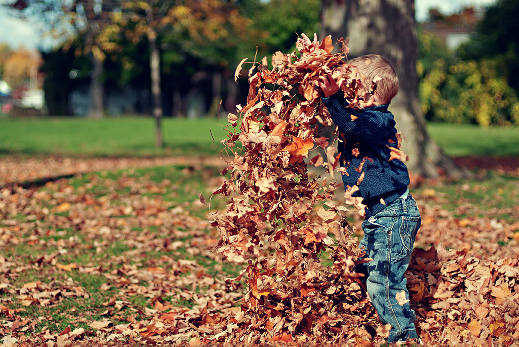 Foto på ett barn som leker i en hög av löv. Foto: Scott Webb, Unsplash